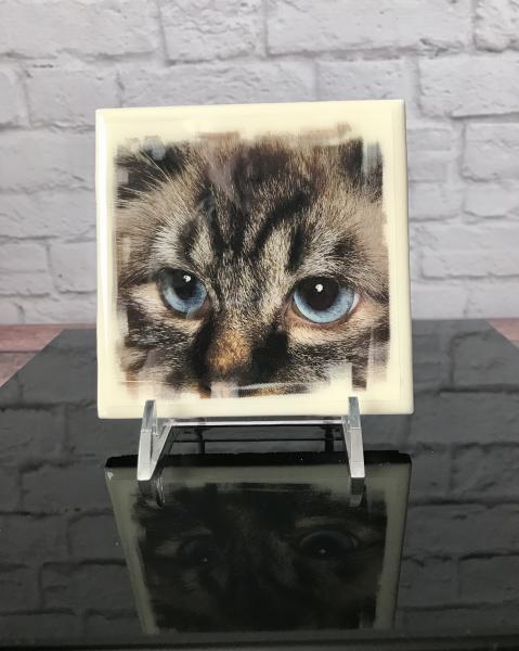 Cat Lover Art Tile picture