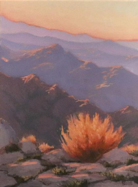 Desert Flora Aglow 9"w x 12'h