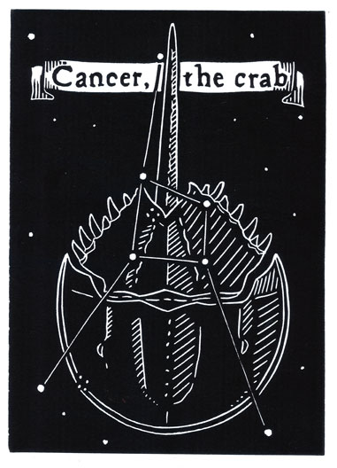 Cancer the Crab