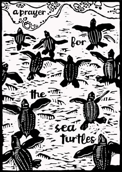 A Prayer for the Sea Turtles picture