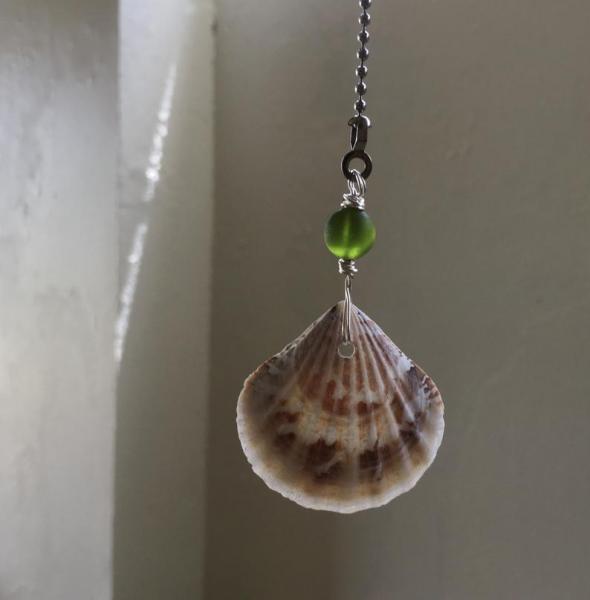 Sea Shell Ceiling Fan or Light Pull picture