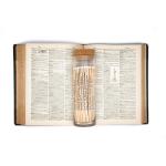 Poetry | Matchsticks
