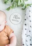 Black + White Wooden Monthly Photo Markers for Baby