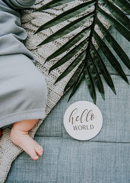 Black + White Wooden Monthly Photo Markers for Baby picture