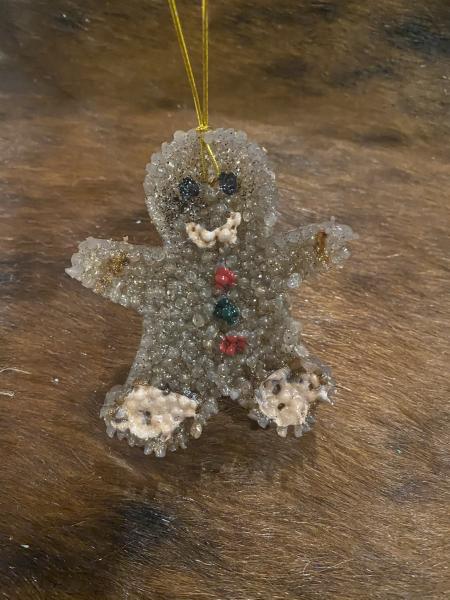 Gingerbread Man picture