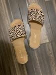 Cheetah Slides