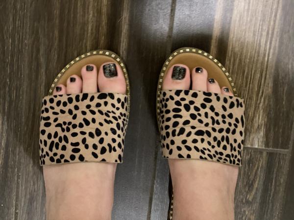 Cheetah Slides picture