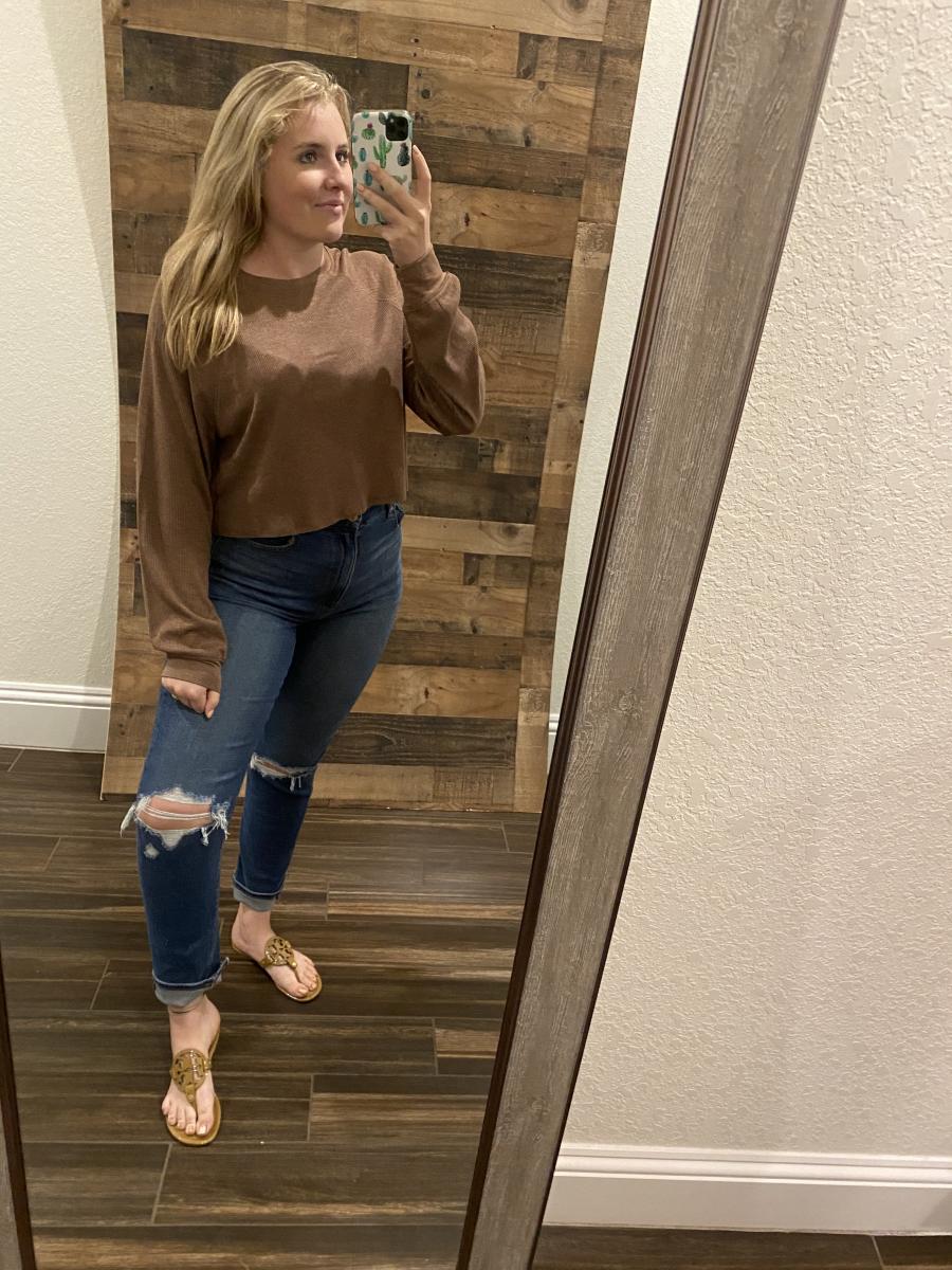 Chocolate Chip Cookie picture