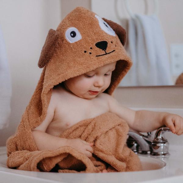 Dog Hooded Towel