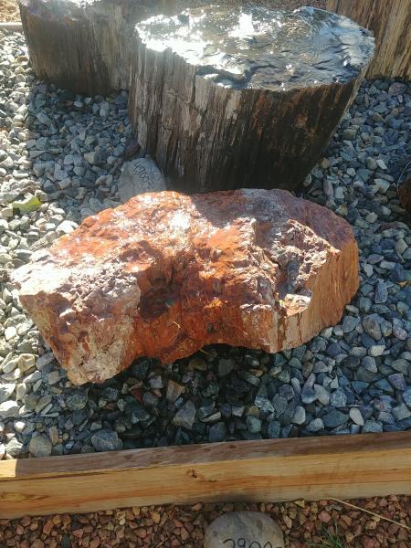 PW02 Red Petrified Wood Fountain picture