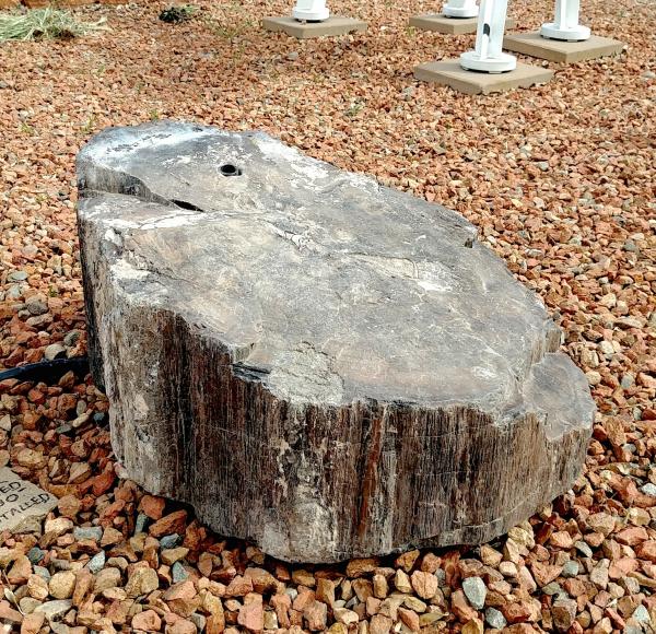 PW04 Black petrified Wood Fountain picture