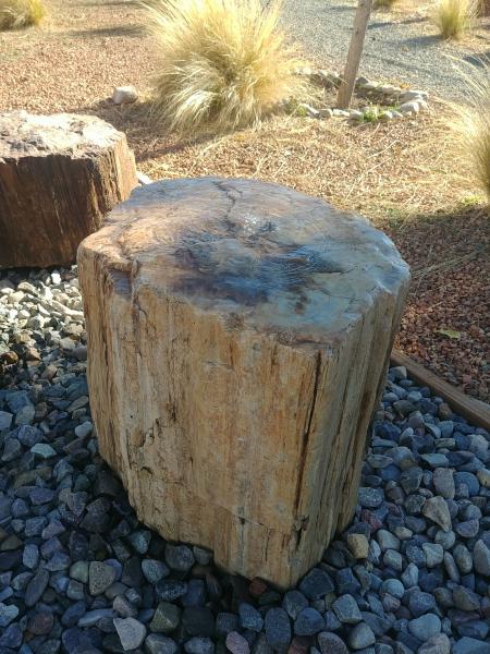 PW07 White petrified Wood Fountain picture