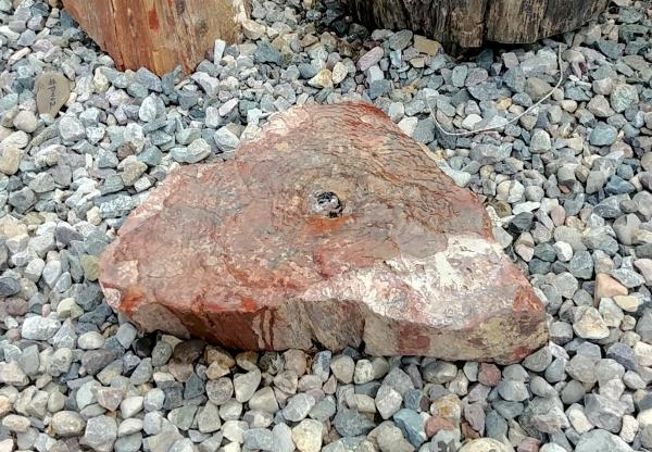 PWO3 Red Petrified Wood Fountain