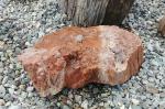 PW02 Red Petrified Wood Fountain