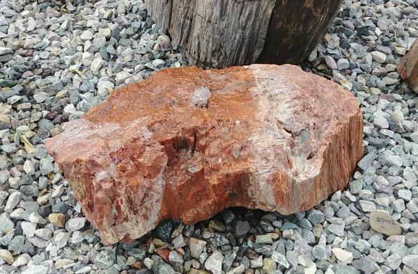 PW02 Red Petrified Wood Fountain picture