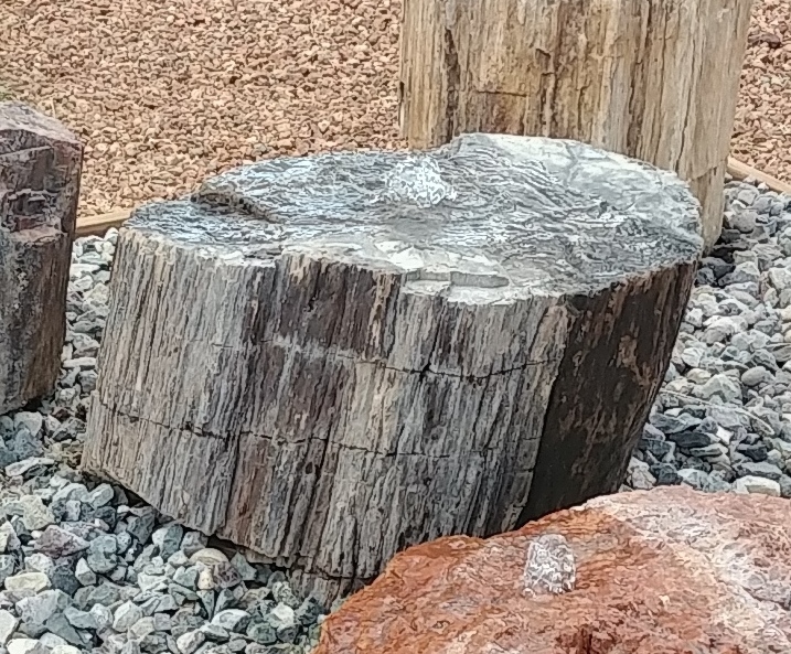 PW06 Black Petrified Wood Fountain picture