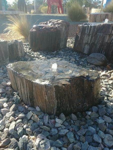 PW01 Black petrified Wood Fountain picture
