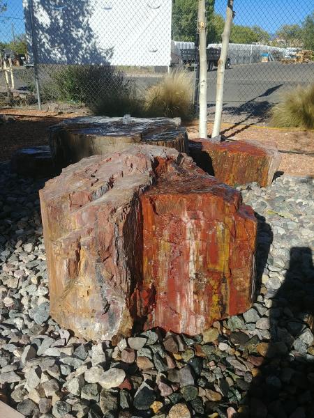 PW05 Red Petrified Wood Fountain picture
