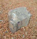 PW01 Black petrified Wood Fountain