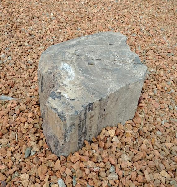 PW01 Black petrified Wood Fountain picture