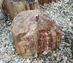 PW05 Red Petrified Wood Fountain
