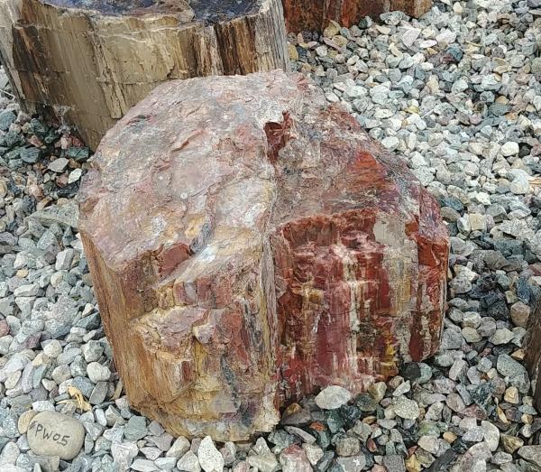 PW05 Red Petrified Wood Fountain picture