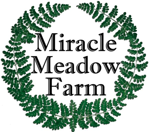 Miracle Meadow Farm