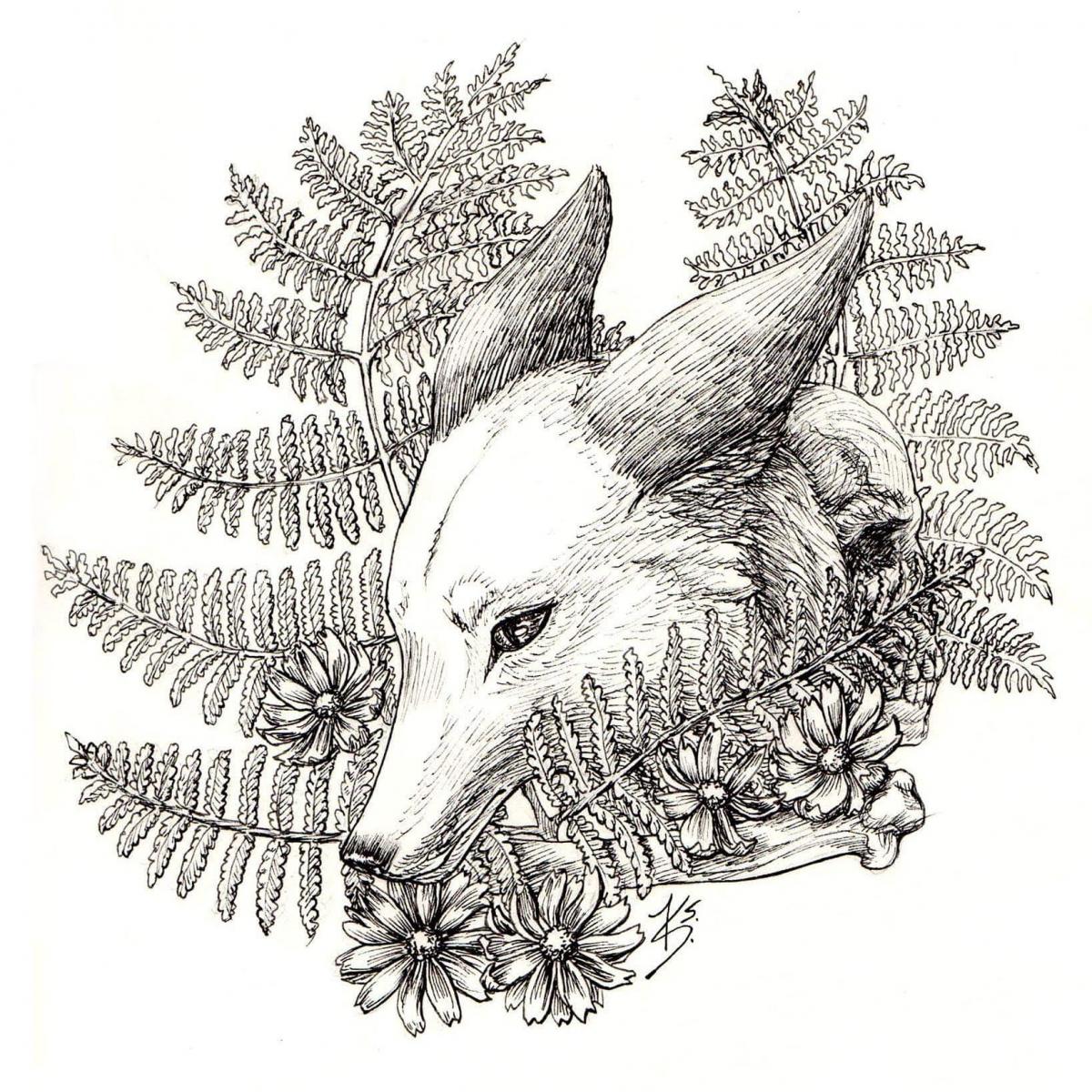 Katrina Sproul User Profile