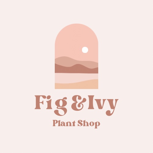 Fig and Ivy Plant Shop