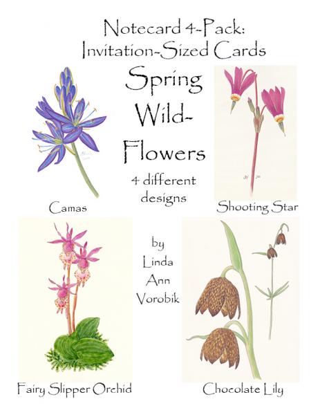 Spring Wildflowers: Invitation-Sized 4 Pack Notecards picture