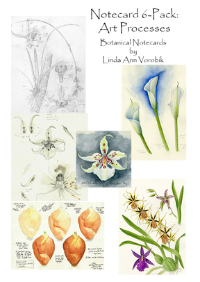 Botanical Art Notecard set: Art Processes