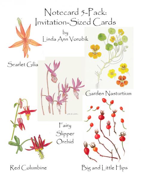 Botanical Assortment: Invitation-Sized 5 Pack Notecards