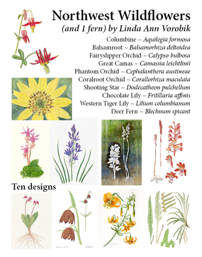 Northwest wildflowers: 10 Card Set