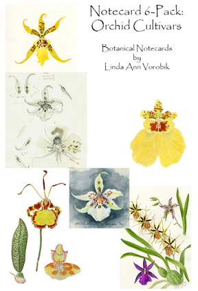 Orchid Cultivars Notecard Boxed Set