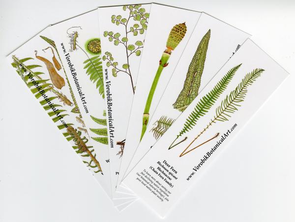 Bookmark set: Ferns picture