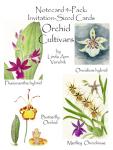 Orchid Cultivars: Invitation-Sized 4 Pack Notecards