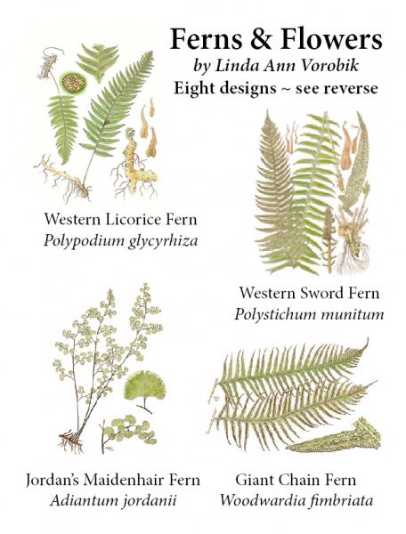 Ferns and Flowers Notecard Pack
