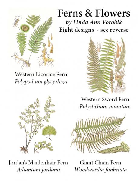 Ferns and Flowers Notecard Pack picture