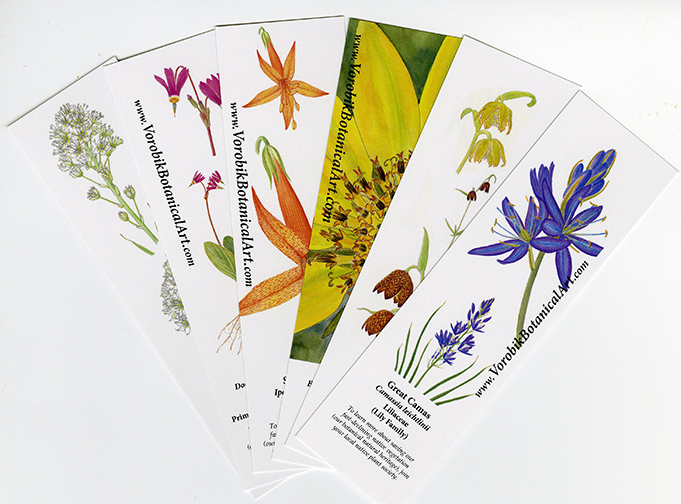 Bookmark set: Wildflowers 2