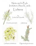 Lichens: Invitation-Sized 4 Pack Notecards