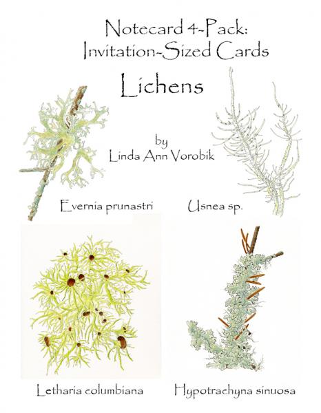 Lichens: Invitation-Sized 4 Pack Notecards picture