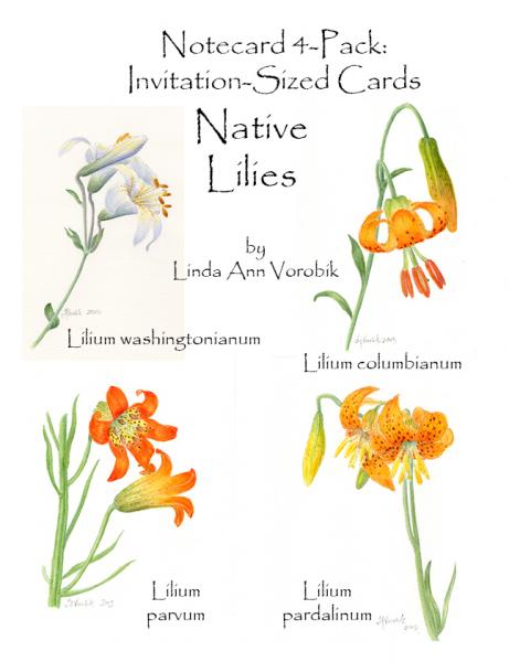 Native Lilies: Invitation-Sized 4 Pack Notecards