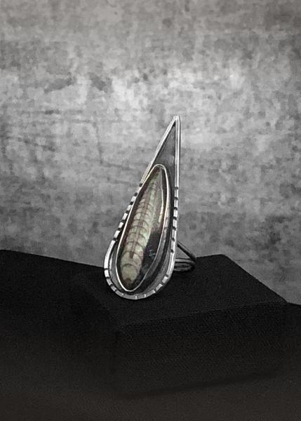 Orthoceras, double band shank, hand fabricated, oxidized sterling silver, simple one of a kind natural fossil ring, size 7.75 (US)