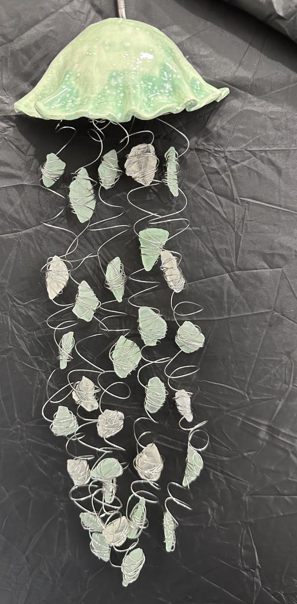 Mini Jellyfish picture