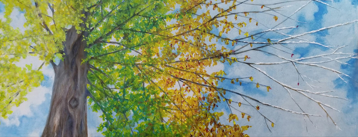 A Year in the Life of a Tree