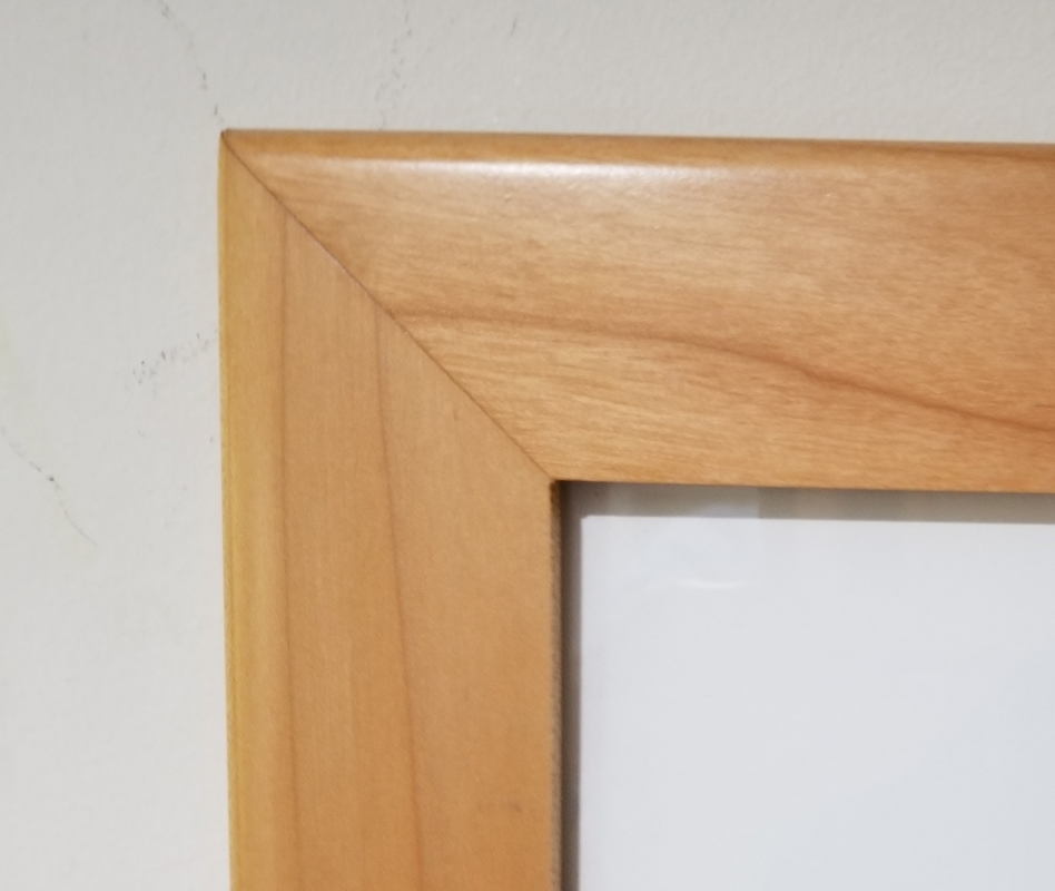 Blue Hydrangea picture