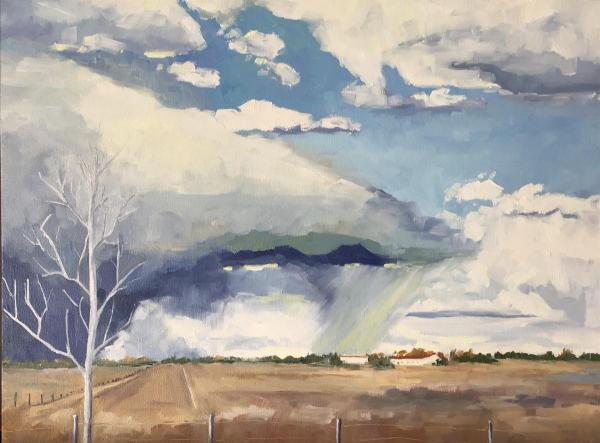 Prairie Squall by Laurie Thompson Art