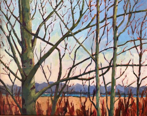 Distant Mountains by Laurie Thompson Art