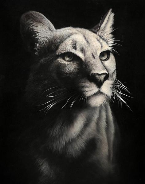 WISDOM by Keith Andrews Art