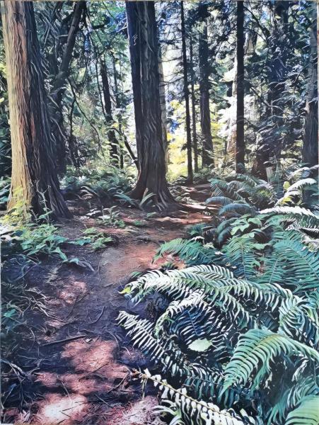 Mount Douglas walk by Marcus Zee